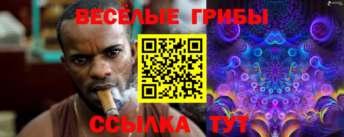 Якутск  Псилоцибиновые грибы мухоморы  Псилоцибиновые грибы Psilocybine cubensis  Вход с VPN 
